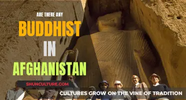 The Enduring Faith: Buddhism's Presence in Afghanistan