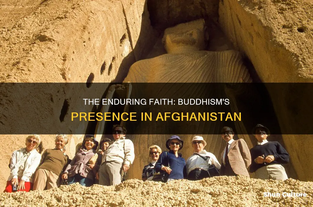 are there any buddhist in afghanistan