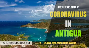 Coronavirus in Antigua: Current Cases, Updates, and Safety Measures