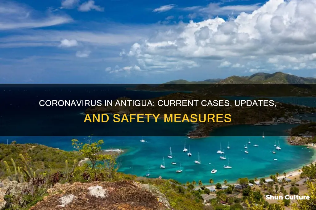 are there any cases of coronavirus in antigua