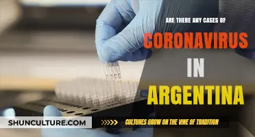 COVID-19 in Argentina: Latest Updates and Case Numbers