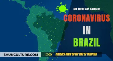 Coronavirus in Brazil: Current Cases, Updates, and Public Health Measures