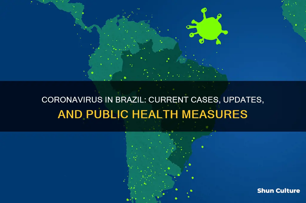are there any cases of coronavirus in brazil