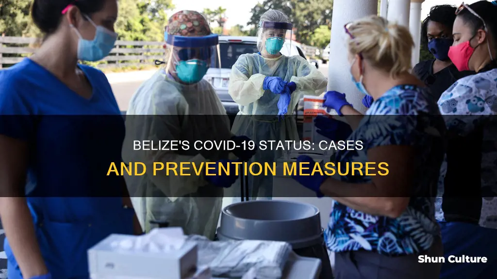 are there any cases of covid 19 in belize