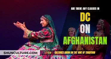 Exploring Afghanistan's Complex History and Culture: Educational Opportunities in DC