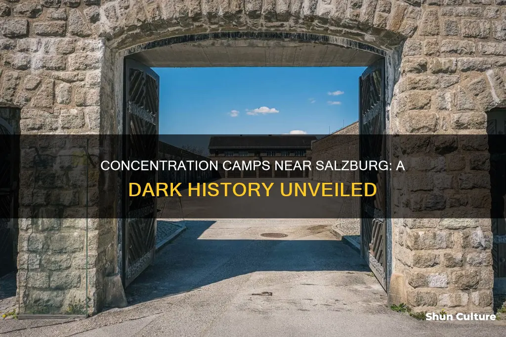 are there any concentration camps around salzburg austria