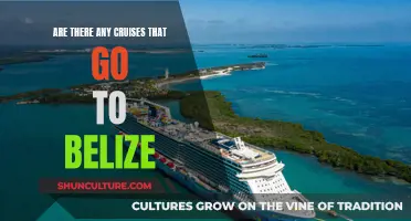 Exploring Belize: Cruise Options and Adventures