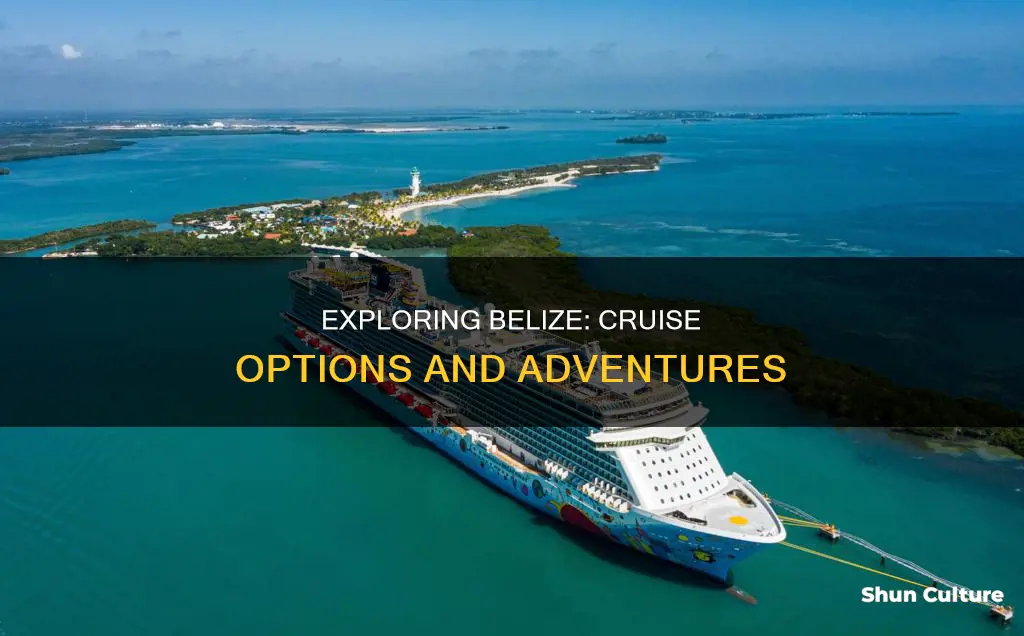 are there any cruises that go to belize