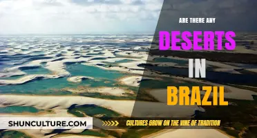 Exploring Brazil's Landscapes: Are There Deserts in This Tropical Nation?
