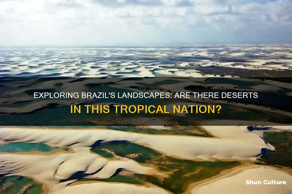 are there any deserts in brazil