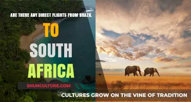 Direct Flights from Brazil to South Africa: Availability and Options