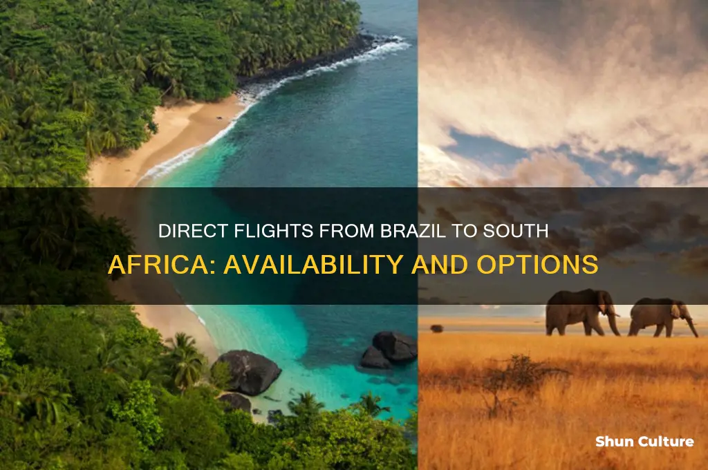 are there any direct flights from brazil to south africa