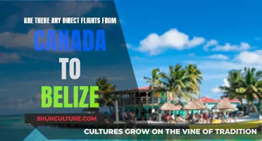 Direct Flights from Canada to Belize: What's the Deal?