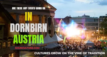 Upcoming Events in Dornbirn, Austria: What's On?