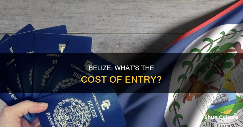 are there any fees when entering belize