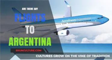 Exploring Travel Options: Are There Any Flights to Argentina?