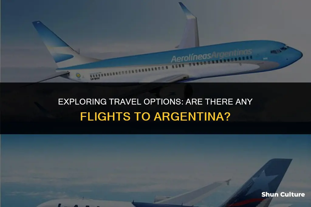 are there any flights to argentina
