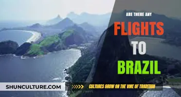 Discovering Flight Options: How to Travel to Brazil by Air