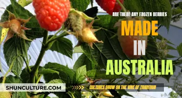 Australian Frozen Berries: Where Are They From?