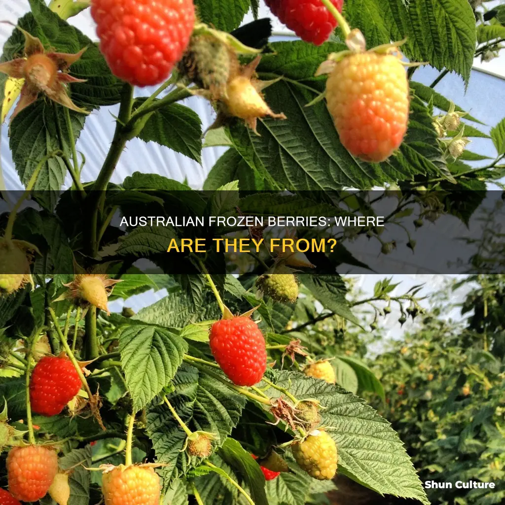 are there any frozen berries made in australia