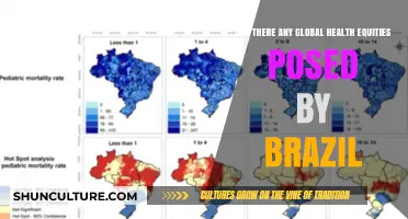Brazil's Global Health Impact: Addressing Equities and Disparities Worldwide