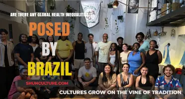 Brazil's Global Health Inequalities: Challenges and Disparities in Healthcare Access