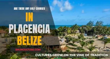 Golfing in Placencia, Belize: Courses Available?