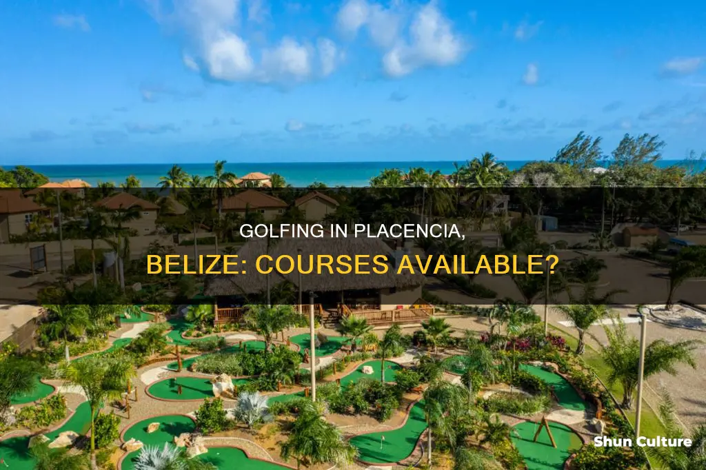 are there any golf courses in placencia belize