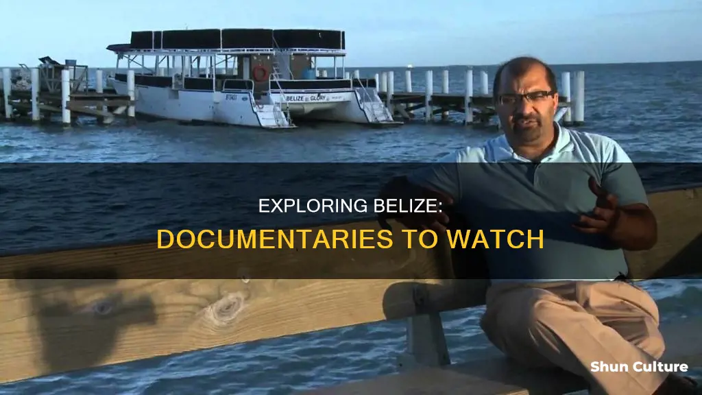 are there any good belize documentairs