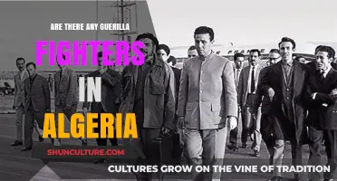 Algeria's Guerilla Fighters: Uncovering the Truth Behind the Shadows