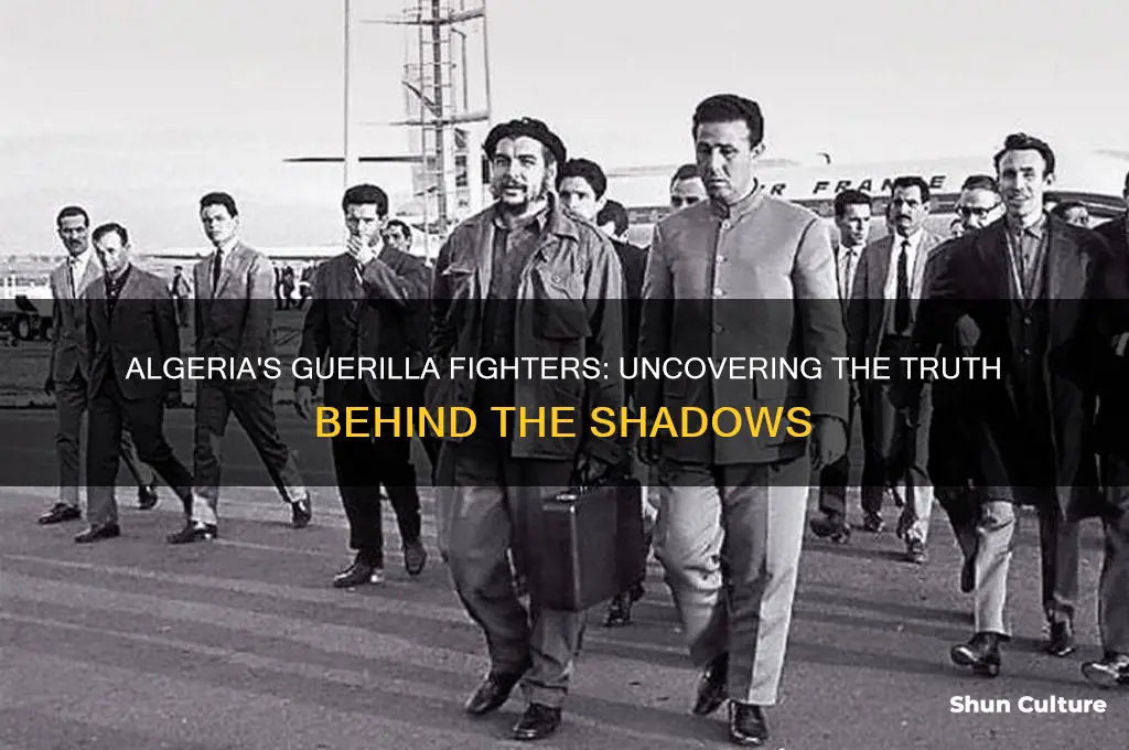 are there any guerilla fighters in algeria