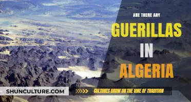 Exploring Algeria's Wildlife: Are There Still Guerillas in the Region?
