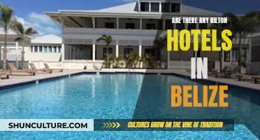 Discover Hilton Hotels in Belize: The Complete Guide