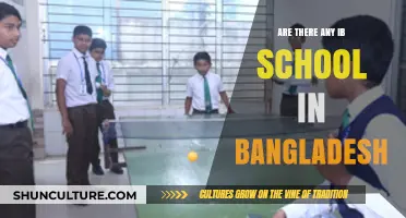Exploring IB Schools in Bangladesh: Availability and Options
