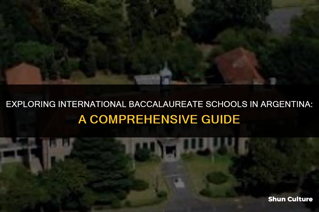 are there any ib schools in argentina