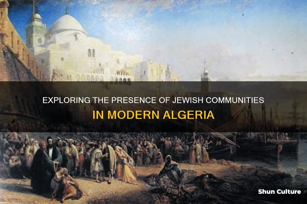 are there any jews in algeria