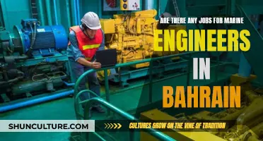 Marine Engineering Jobs: Bahrain Opportunities and Prospects