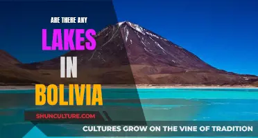 Exploring Bolivia's Lakes: A Natural Wonder