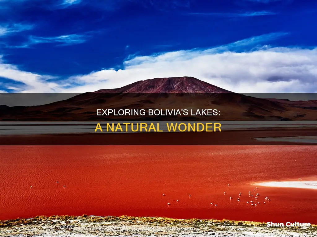 are there any lakes in bolivia