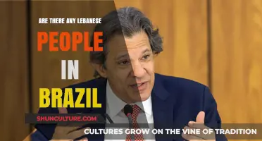 Exploring Lebanese Heritage: A Look at Brazil's Diverse Population