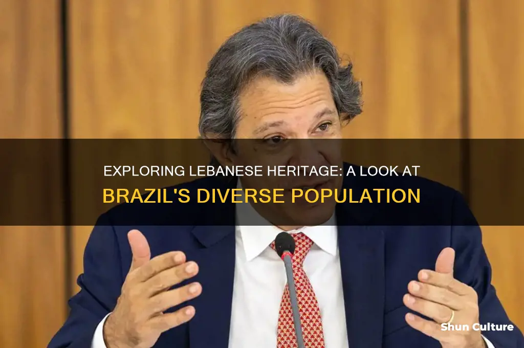 are there any lebanese people in brazil