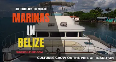 Live-Aboard Marinas in Belize: Where to Dock and Stay