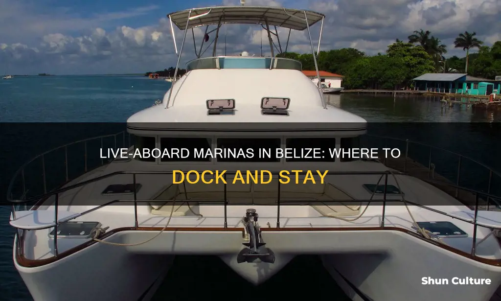 are there any live aboard marinas in belize