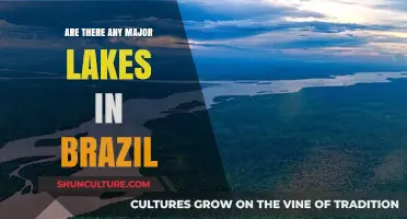 Exploring Brazil's Majestic Lakes: A Guide to the Country's Largest Water Bodies