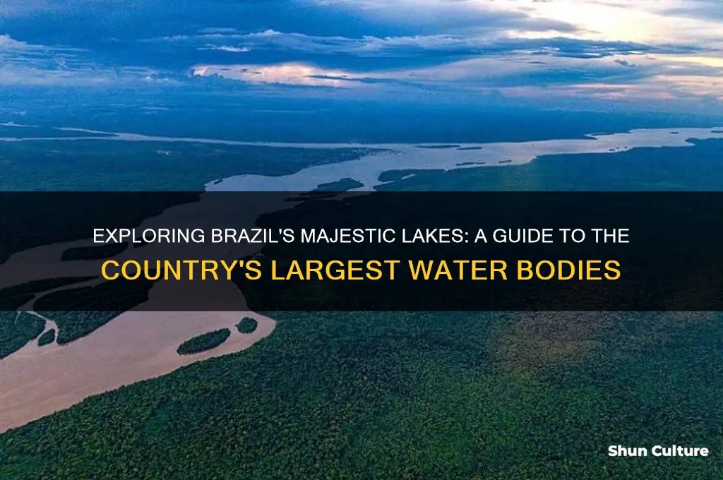are there any major lakes in brazil