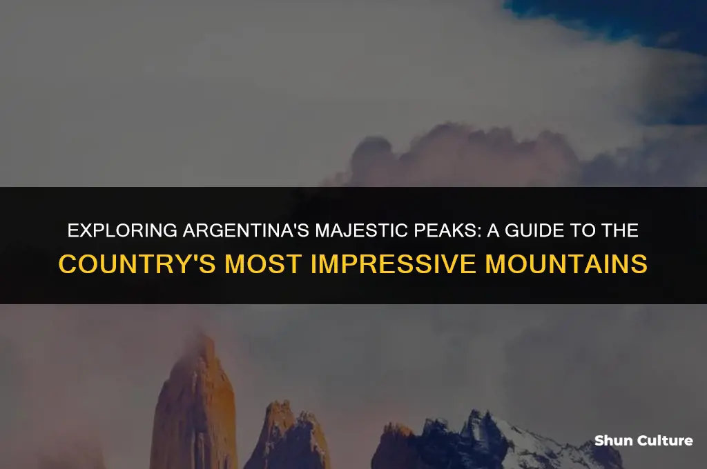 are there any major mountains in argentina
