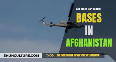 The Mystery of Marine Bases in Afghanistan: A Strategic Enclave?