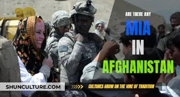 The MIA Mystery: Unraveling Afghanistan's Missing Servicemen