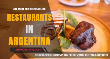 Exploring Culinary Excellence: Michelin Star Restaurants in Argentina