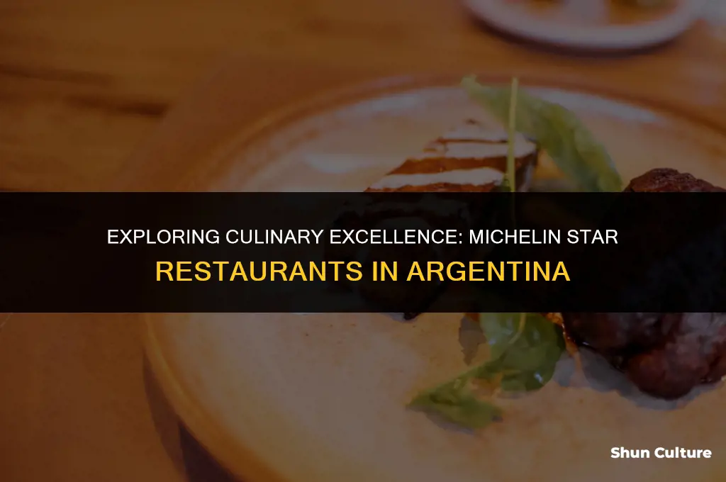 are there any michelin star restaurants in argentina